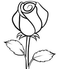 Gambar bunga mawar atau wallpaper background bunga rose warna putih kuning, pink merah muda hitam ungu dan maknanya artinya foto bunga . Gambar Mewarnai Bunga Mawar Radea