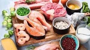 the best protein for bariatric patients