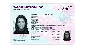 dmv for people who don t want a real id