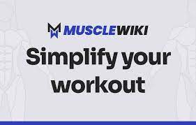 MuscleWiki - Simplify Your Workout