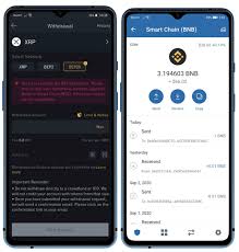 This is where you need to paste the wallet address you copied from binance. How To Set Up And Use Trust Wallet For Binance Smart Chain Binance Blog
