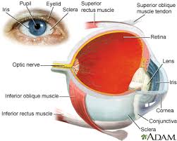 eye emergencies symptoms and causes