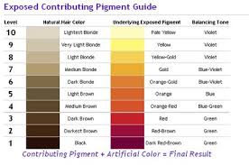 Exposed Contributing Pigment Guide In 2019 Hair Color