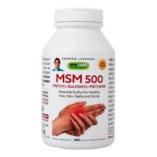 msm 500 360 capsules hsn
