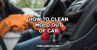 how to get rid of mold in car 5