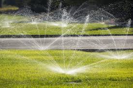best time to water gr 8 tips for