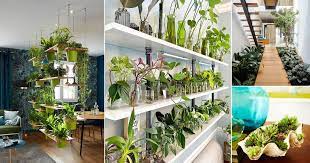 31 Best Diy Indoor Garden Decoration Ideas