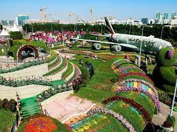 dubai miracle garden reopens for 12th
