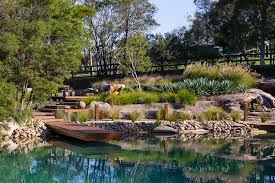 Pool Landscape Design Sydney