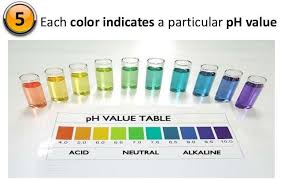 Ph Results Chart Bottled Water Tests Testaqua Com