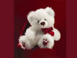 sweet teddy bear toy bear sweet