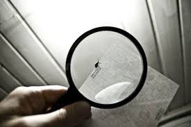 Bug Under Magnifying Glass Hand Of