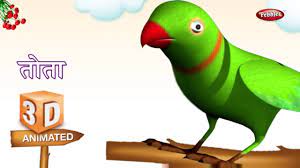 3d parrot rhyme in hindi hindi rhymes