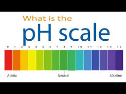 What Is The Ph Scale Hindi Youtube