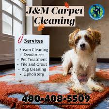 top 10 best 24 hour carpet cleaning