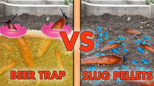 slug beer trap vs slug pallets best