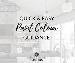 paint color consulting