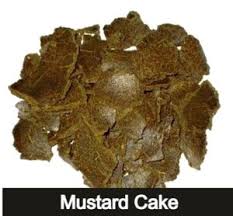 how to make mustard cake fertilizer
