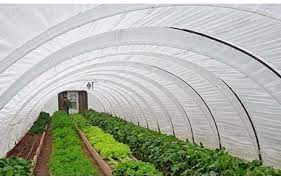 greenhouse plastic sheeting in stock