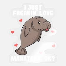 manatee manatees sea funny heart love