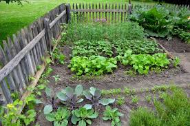 23 vegetable garden ideas and designs