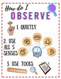 Anchor Chart Rules Of Observation