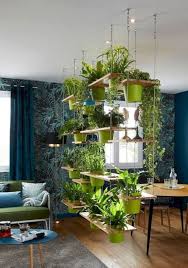 Plants Indoor Apartment