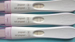 Pregnancy Test Line Progression And Bbt Chart