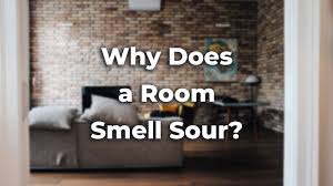 11 Reasons Why Your Room Smells Sour A