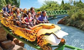 busch gardens ta groupon