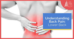 understanding back pain lower back