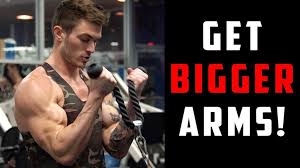 best workouts to get shredded arms