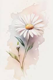 A Watercolor Painting Of A Daisy With A Bud