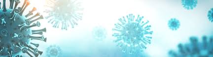 +++ anlaufstellen bei allgemeinen fragen zum coronavirus +++. Coronavirus Testergebnisse Corona Abstrich
