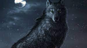 Wolf 2560 X 1440