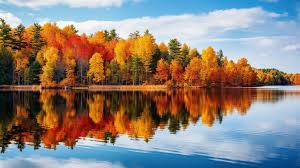 colorful fall landscape surrounded by