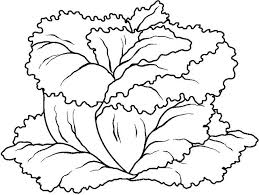 Lettuce coloring pages provided for. Vegetables Coloring Pages Crafts And Worksheets For Preschool Toddler And Kindergarten