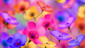 full hd flowers wallpapers 68 pictures