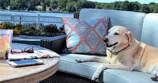 repellent to keep dogs off furniture