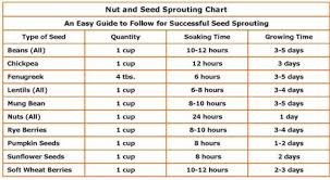 The Sprouted Life All You Need To Know About Sprouts