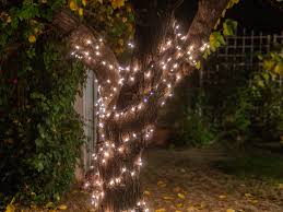 how to wrap trees with outdoor lights
