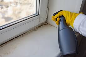 can vinegar kill mold bsolute cleaning