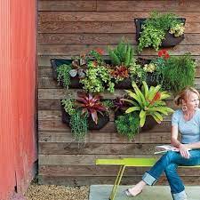 Creative Living Wall Planter Ideas