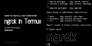 Here's how to use termux and some of its best offerings. How To Install Ngrok In Termux Configure Ngrok For Port Forwarding