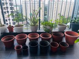 plant pots furniture home living