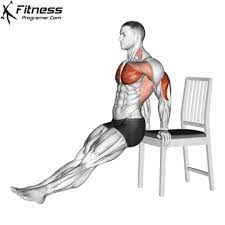 how to do chair dips muscles worked