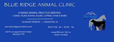 blue ridge animal clinic