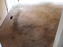carpet cleaning in portland or