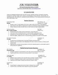 Sample Resume Letter For Job Application New Professional Cover