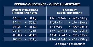 Eukanuba Excel Adult Large Breed Dog Food With Salmon 25